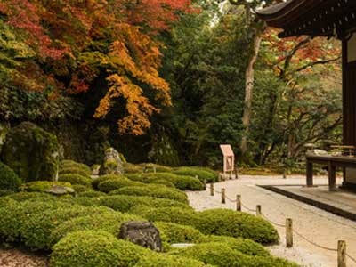 Feng Shui Garten selber gestalten